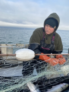 Here she is picking fish while driving along the set net site. She and Michelle do this every day. They go out to the nets located on open skiffs and check for fish. (Photo courtesy of Hannah Heimbuch)