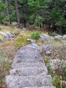 These steep steps originate from my main house and lead to the footpaths toward my guest house. One will always get some good exercise at Skylands.