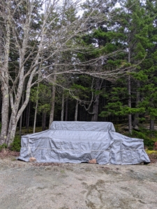 This area is down by the shop where we cook lobsters during summer. It's a different scene now - the grill is all covered for the winter and the area is very still and quiet. Above is a maple tree all bare of any foliage.