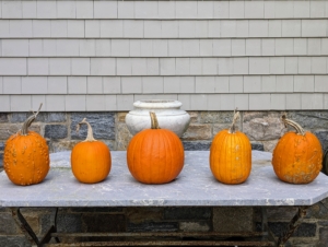 Autumn is a beautiful time of year. Around my home, I always display all the pumpkins we grew in the garden. This season, we harvested so many. This grouping of orange pumpkins is on a table outside my Winter House.