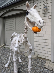 And, here is one of two menacing Halloween skeleton horses. This equine friend is 74-inches tall and has sound effects. I like to have this on the front driveway to greet all the children, and the adults who accompany them.