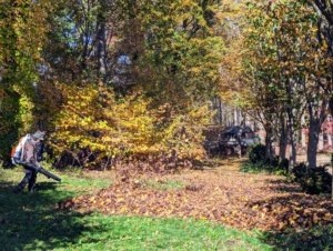 The crew blows leaves along both sides of the carriage road to my Summer House. Leaf blowers are noisy, but they are the most effective for gathering leaves into large piles.
