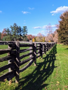 The perimeter around my paddocks displays shades of amber, brown, orange and green. I also get many compliments on the fencing – it is antique spruce fencing I bought in Canada, and it surrounds all my paddocks for the horses, pony, and donkeys.