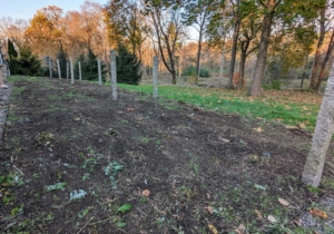 Here's the dahlia garden all cleared. The remaining dahlia tubers are still in the ground and will be covered with burlap and a thick layer of hay for the winter. This method has proven to be a great solution for protecting the plants here at the farm, so we have viable dahlias come spring.