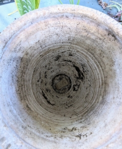 When potting, always place a clay shard over the hole in the bottom of the pot to help drainage. Doing this also keeps the potting soil from falling out.