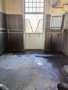 The stalls in my stable are walled in beautiful mahogany and outfitted with durable, safe gates, and feeders. The concrete floors, however, only had one layer of rubber matting and my oldest horse, Rinze, and two others needed a bit more cushioning for their legs and joints.