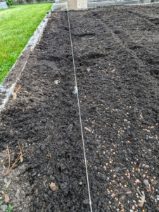 Ryan then uses garden twine to mark where the rows would be in the bed. Proper spacing is crucial in a flower cutting garden. Ryan figures out how many rows are needed for each variety, so the entire bed is well-utilized and the bulbs have ample room to grow.