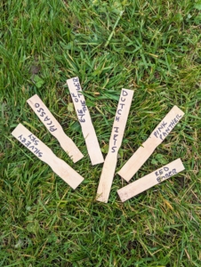 Ryan wrote all the names on markers, so we could identify the flowers when they bloom in spring. Ryan repurposed some unused paint stirrers to make these, but plant markers can be found at all gardening shops.