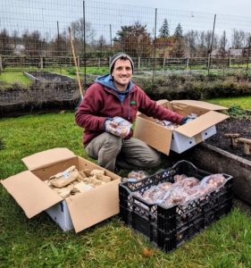 Meanwhile, Ryan sorts out the bulbs and decides what will be planted in which bed. They will look so pretty when in bloom. And they will be done blooming before it is time to plant our vegetables.