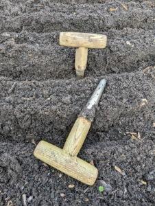 To plant these tulip bulbs, Brian and Phurba use these dibbers. A dibber or dibble or dibbler is a pointed wooden stick for making holes in the ground so seeds, seedlings or bulbs can be planted. Dibbers come in a variety of designs including the straight dibber, T-handled dibber, trowel dibber, and an L-shaped dibber. These are T-handled dibbers.