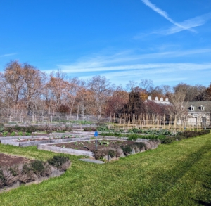 Now, the garden is nearly all cleaned up for the season. We've already started planting our crops in the vegetable greenhouse. But come spring, we'll be out here again, tending the beds for another year of delicious, natural foods.