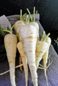 When cleaning, wash the parsnips under cool running water using a vegetable brush. Never use soap. Once they are clean, they can be wrapped in paper towel and stored in the refrigerator for up to two weeks.