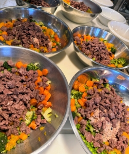 Look how much we’ve prepared. I vary the food every time I make it based on what I can use from the gardens and what I already have on hand. I also added venison here, which is deer meat.