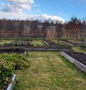 This half acre garden has produced bounties of wonderful vegetables this year. Even now that the weather is colder, we're still able to harvest delicious organic produce.