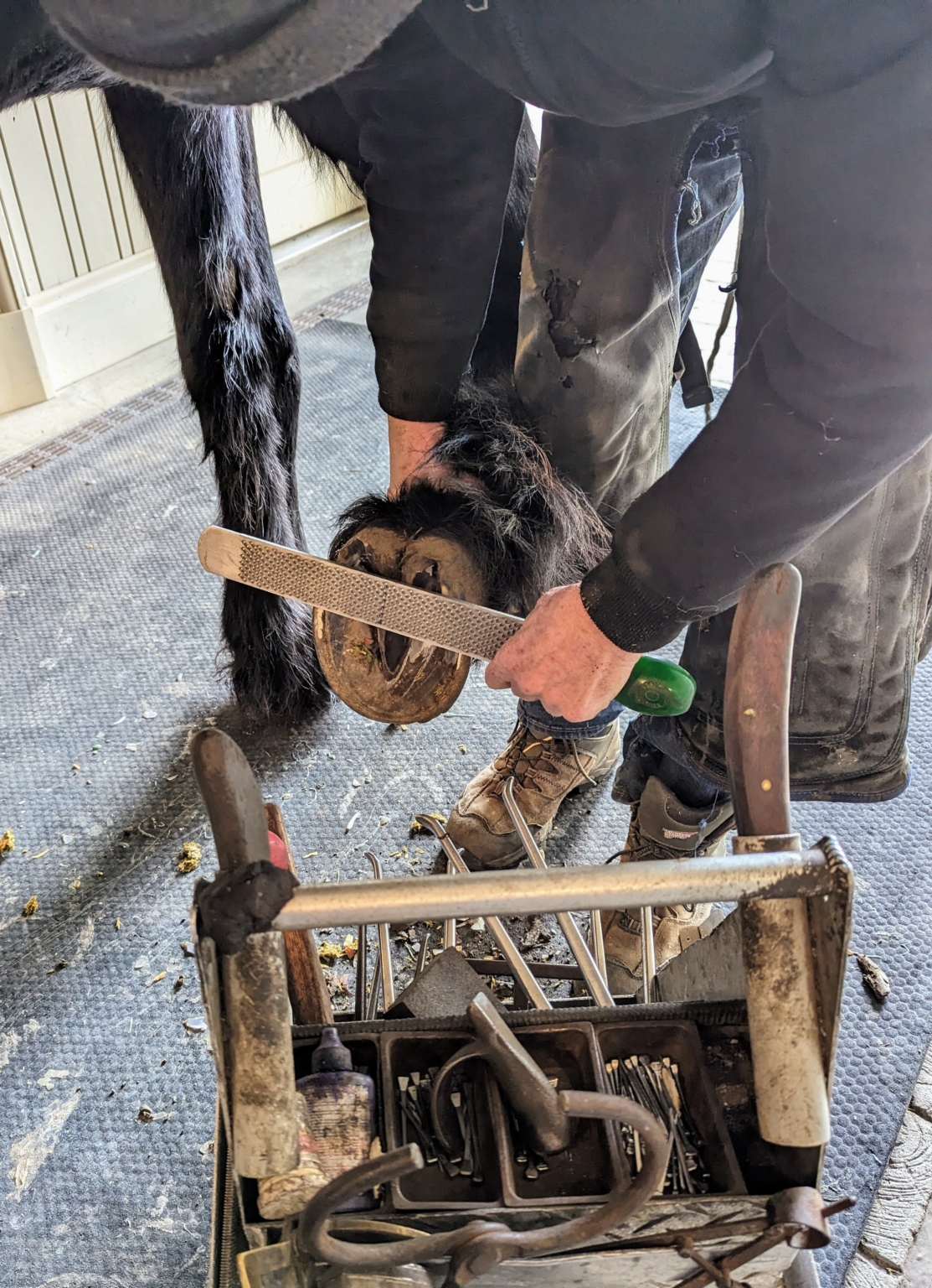 A World Master Farrier Visits My Farm The Martha Stewart Blog