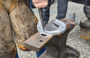 It takes time and patience to create a perfect-fitting horseshoe. Mike constantly tests the shoe on the horse and hammers adjustments as he goes. Here, he is making the holes for the special nails called hoof nails or horseshoe nails that are used to attach the shoe onto the hoof.