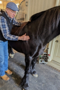Mike not only looks at the horse's feet, but the entire body - from the hooves, pasterns, and forearms to the shoulders, withers and hips. He also looks at the movement of the horse as well as how it positions its legs while standing. He looks at the horse's conformation from a variety of perspectives. Mike says, a horse will provide "certain visual clues that help define what’s going on and how to address it through proper hoof care - observation is invaluable to a farrier."