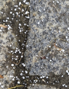 The term graupel describes ice pellets shaped like tiny balls. Graupel should not be confused with sleet, which is sturdier and more frozen. Graupel occurs when a snow pellet falls and is encapsulated by ice. It is also different from hail, which is formed from raindrops that are lifted upward into freezing air by the wind. Graupel is more like "soft hail."