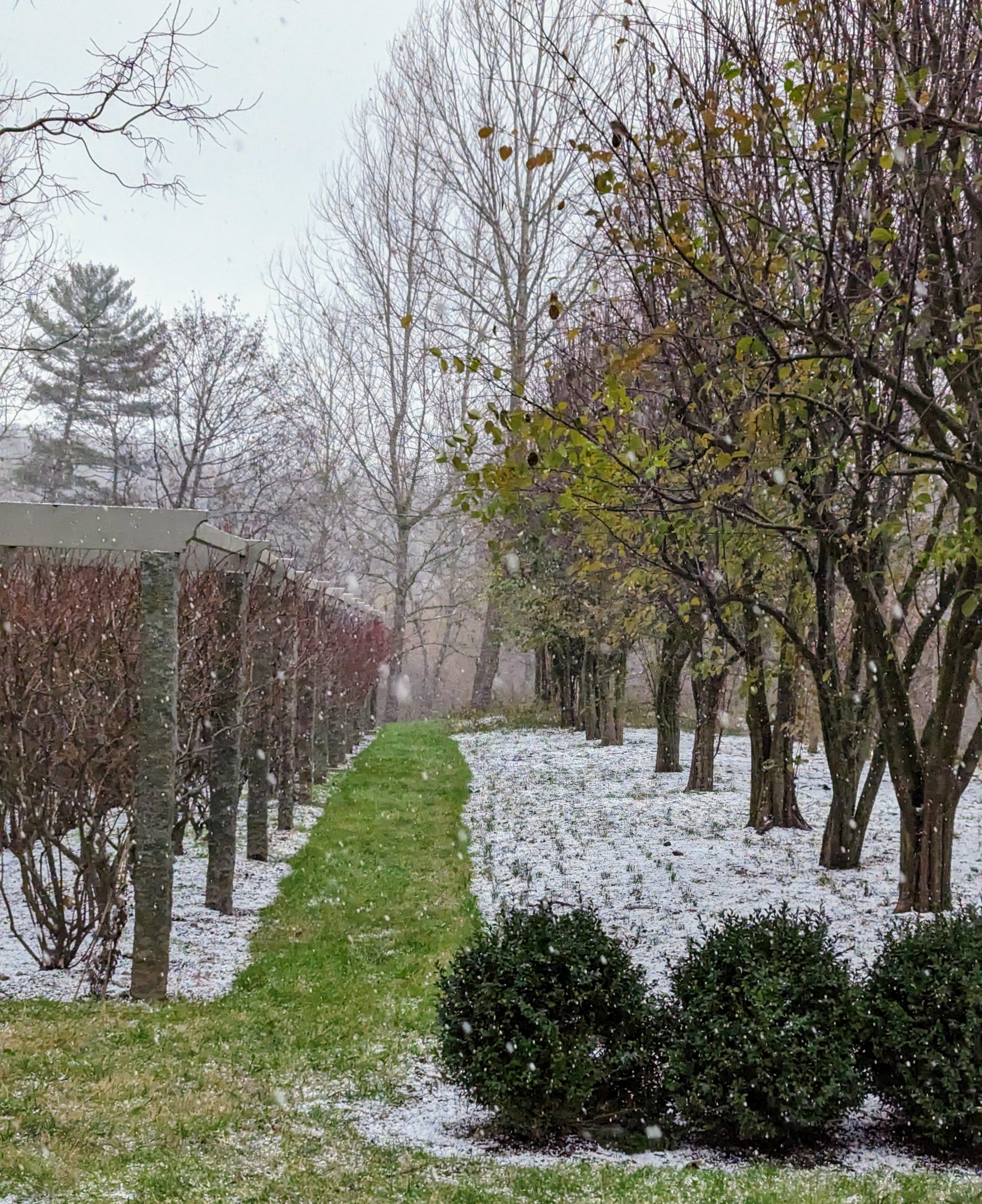A Fast First Snow at My Farm - The Martha Stewart Blog