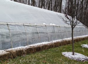 Thankfully, we were able to get all the cold sensitive plants into the hoop houses before the snow. We also use some of our old hay bales that the horses don't eat to further insulate the perimeter of the structures.