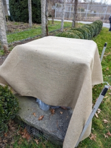 Then the planter is measured and a piece of burlap is cut to size. Burlap is so useful for many gardening projects – it is inexpensive, biodegradable, and the color and texture of burlap is so pretty to use.