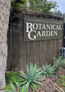 The UC Botanical Garden is in the Berkeley Hills, inside the city boundary of Oakland, with views of the San Francisco Bay. It has more than 20,000 accessions, representing 324 plant families, 12,000 different species and subspecies, and 2,885 genera. Outdoor collections are arranged geographically and nearly all specimens were collected in the wild.