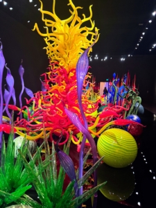 Some of the indoor galleries display dense, garden-like spaces with color-filled glass sculptures resembling crystalline plants and flowers. This Mille Fiori is displayed over black reflecting glass.