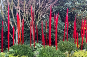 These are more of the Red Reeds – such a beautiful combination of glass art and nature.