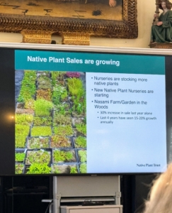 Fortunately, there is a lot of improvement. Nurseries are stocking more native plants and there has been a marked increase in availability and sales over the last few years.