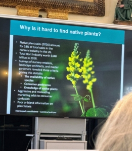 Uli also explains that it is sometimes challenging to find native plants. The important thing is to talk to reputable gardeners and landscape architects in one's area.
