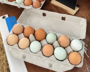 There were also eggs for sale from Uncle Swabb's Pastured Poultry - they look just like mine.
