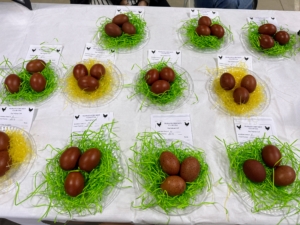 Here are some eggs on display for competition. These are Maran chicken eggs. The Maran chicken lays the darkest brown eggs. They can be deep reddish-brown or almost black.