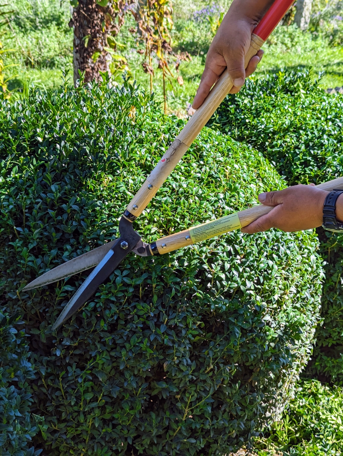 Sharpening Garden Pruners and Shears - The Martha Stewart Blog