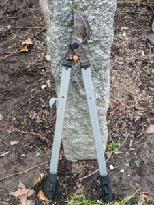 Flor slightly larger branches up to two-inches in diameter, Brian uses his trusted STIHL bypass loppers.
