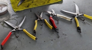 All the tools are now ready to head back out to the gardens. It is crucial to keep these garden tools sharp at all times. Sharp pruners for working in the gardens… it’s a very safe, efficient, “good thing.”
