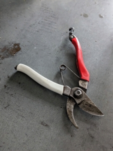 We all like to use Okatsune secateurs. Bypass garden pruners such as these make nice, clean cuts using two curved blades that bypass each other in the same manner as a pair of scissors. One blade is sharpened on the outside edge and slips by a thicker unsharpened blade. Pruners can cut branches and twigs up to ¾ of an inch thick.