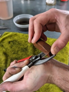 Next, Brian uses the whetstone to sharpen the blade. Brian holds the pruners firmly and places an even and gentle pressure drawing the stone along the blade from hilt to tip.