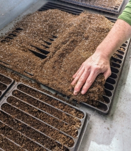 It’s best to use a pre-made seed starting mix that contains the proper amounts of vermiculite, perlite and peat moss. Seed starting mixes are available at garden supply stores.