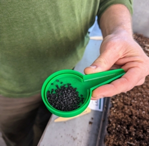 Onion seeds are very small, so be sure to take time dropping them into the tray cells. It’s also a good idea to keep a record of when seeds are sown, when they germinate, and when they are transplanted. These observations will help organize a schedule for the following year. This is a hand seed sower from Johnny’s Selected Seeds – it is one option to help drop the seeds into the trays. This tool allows one to control the flow of seeds through five different size outlets. The funnel-shaped spout makes it easy to return unused seeds to packet.