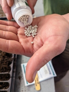 If preferred, one can also drop seeds by hand. The pellet coating on these seeds helps in seeing, handling, and sowing.