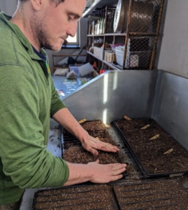 Ryan also adds another thin layer of soil mix to this tray and tamps down lightly.