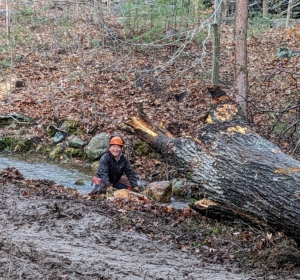 Phurba is securing another line to this huge stump, so it can be removed from the stream. Fortunately the weather has been very mild these last few days. All the snow and ice from the most recent storm has melted allowing the crew to work more safely and efficiently.