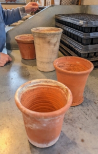 Next, Ryan pulls several pots for my new begonias and anthuriums. As a general rule, choose a pot that is one to two inches larger than its current container, and be sure there are holes in the bottom for good drainage.