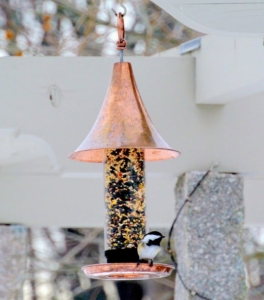 I have long fed the wild birds that visit my farm. Feeders are set up where they are easy to see, convenient to fill, and where seed-hungry squirrels and bird-hungry cats cannot reach them.