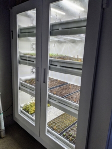 Here at my farm, most of the seedlings start off in our commercial-size Urban Cultivator. The automated system provides a self-contained growing environment with everything the plants need to thrive.