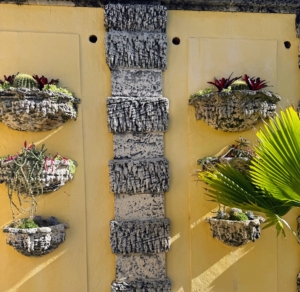 The wall pots of the Secret Garden were created to hold plants from Vizcaya’s orchid collection, but proved unsuitable. Now they hold succulents, which thrive in the bright sunlight and salt air.