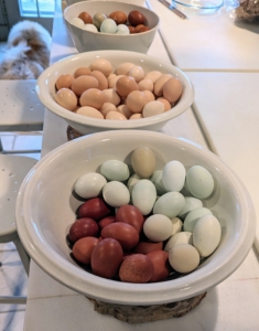 On another counter, giant ironstone bowls for storing my eggs that are collected every afternoon.