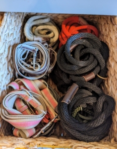 Inside one - leashes, harnesses, and slip leads for everyday use.