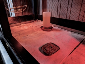 Once stable, the chicks are moved into this cage in the same room where they are checked often. Towels are placed on the floor of the cage for good footing.