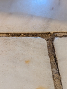 Unfortunately, all the traffic and cleaning wear on the floor joints and every few years the grout loosens and chips.